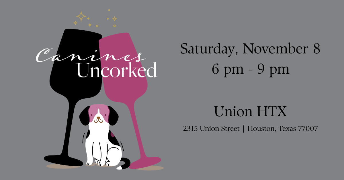 Canines Uncorked web header